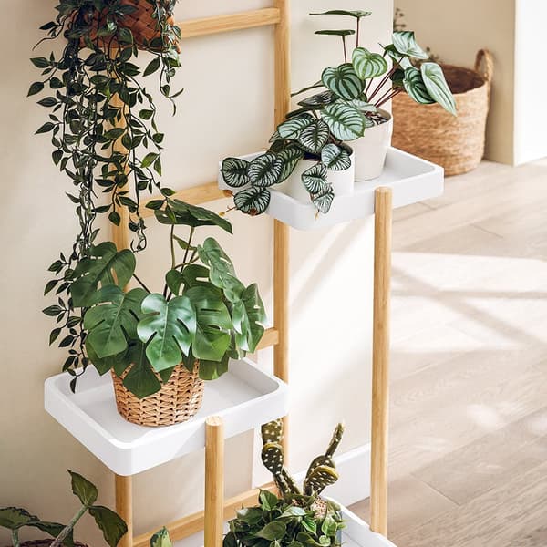 Plante Stand, STR13-WN, 31x27x130 cm, Brun
