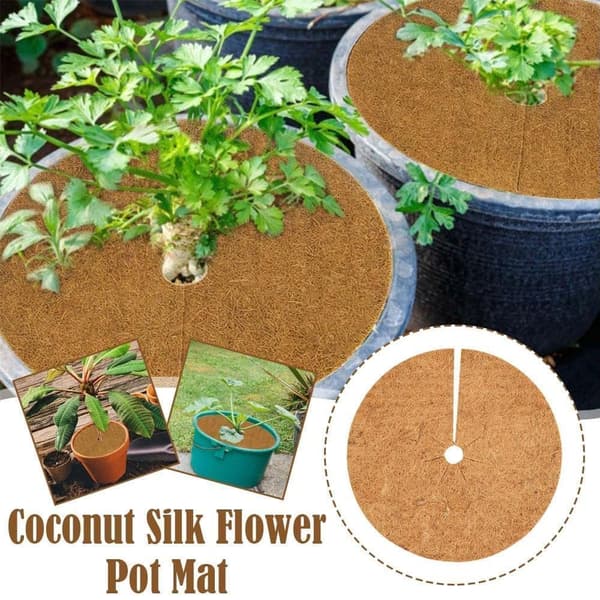 4 kpl 30 cm kookosmattoa, kookoskasvinsuoja, talvisuoja, kookostarjottimet kasveille, kestävä pakkassuoja ja kylmäsuoja kasveille