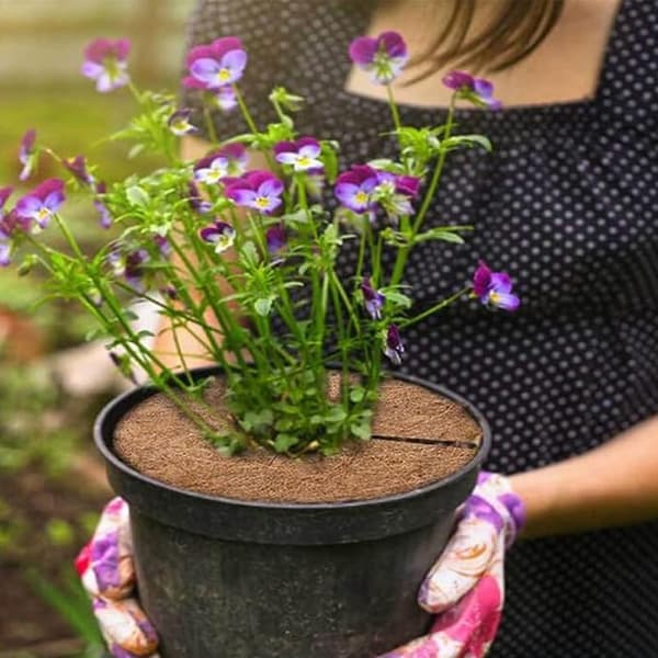 4 kpl 30 cm kookosmattoa, kookoskasvinsuoja, talvisuoja, kookostarjottimet kasveille, kestävä pakkassuoja ja kylmäsuoja kasveille