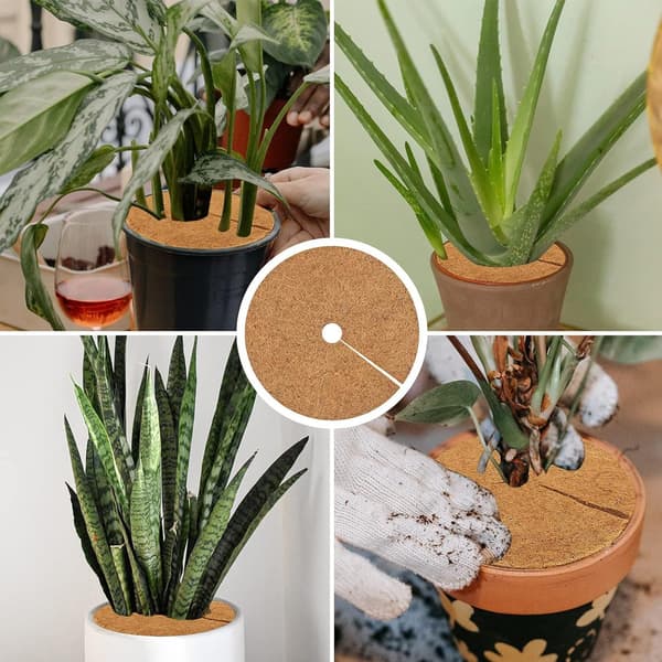 4 kpl 30 cm kookosmattoa, kookoskasvinsuoja, talvisuoja, kookostarjottimet kasveille, kestävä pakkassuoja ja kylmäsuoja kasveille