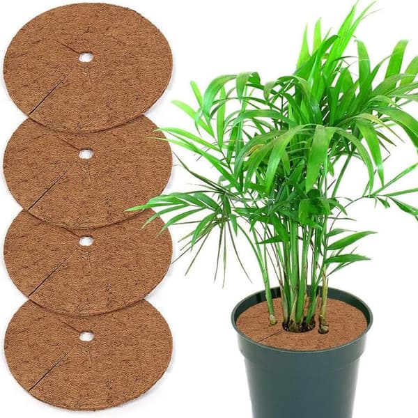 4 kpl 30 cm kookosmattoa, kookoskasvinsuoja, talvisuoja, kookostarjottimet kasveille, kestävä pakkassuoja ja kylmäsuoja kasveille