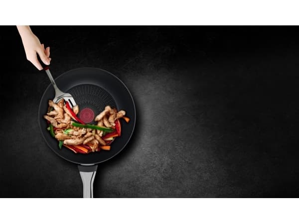 Stegepande med belægning Tefal Excellence Ø24cm Titanium