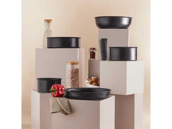 Tefal Ingenio Eco Resist stekepanne, 24 cm