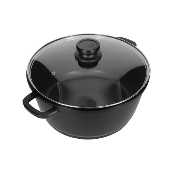 Stockpot - ALPINA - 28 cm - Non-stick - Glaslock