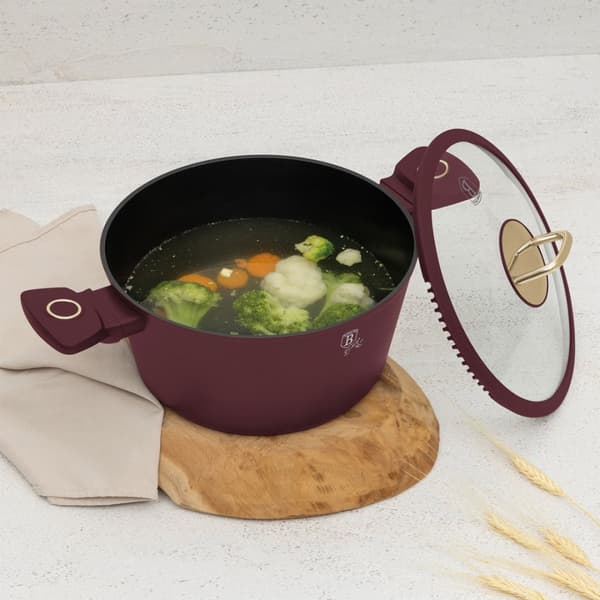 TITANIUM GRYDE MED LÅG 24cm BERLINGER HAUS BH-8041 LEONARDO