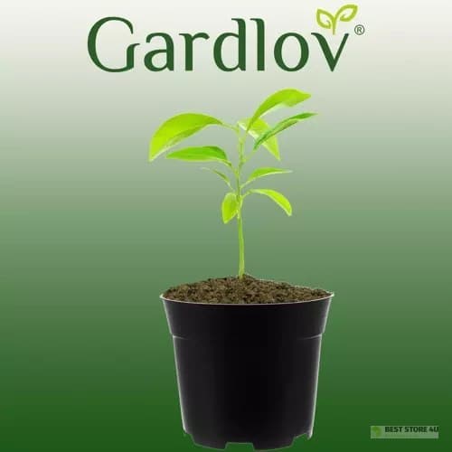 Produktionsburk - set med 500 delar