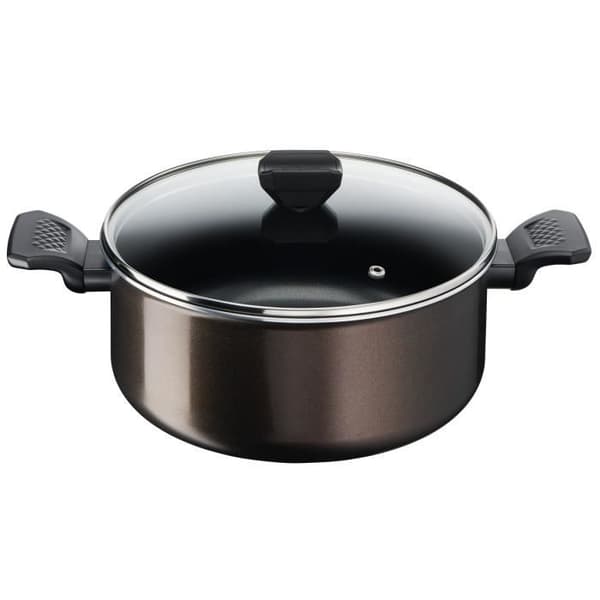 TEFAL Easy Cook & Clean holländsk ugn 24 cm + glaslock, icke-induktion, non-stick beläggning, tillverkad i Frankrike B5544602