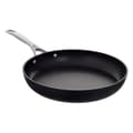 Miniatyrbild 1 av 8: Ballarini ALBA ALBG0L0.20U All-purpose pan