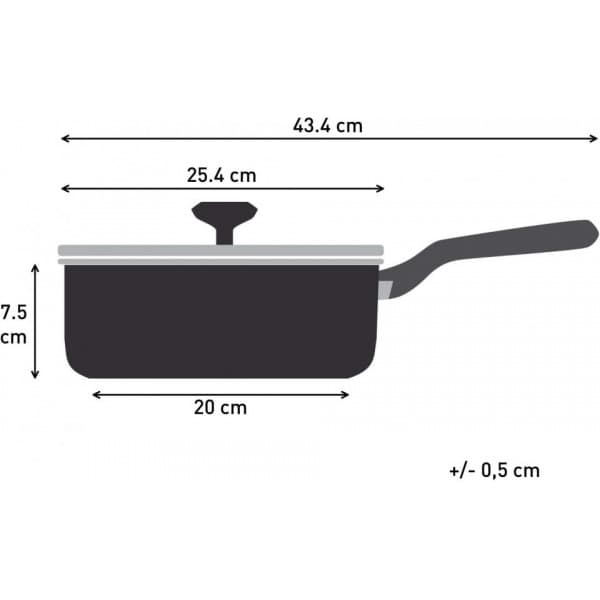 Tefal Intens'Ceram stegepande med glaslåg 24 cm/3,2 L, sort