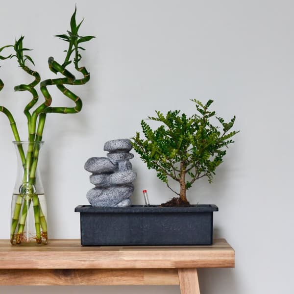 Bonsai træ med vandfald - Sæt med 2 - Bonsai - Højde 25-35cm - ⌀29cm