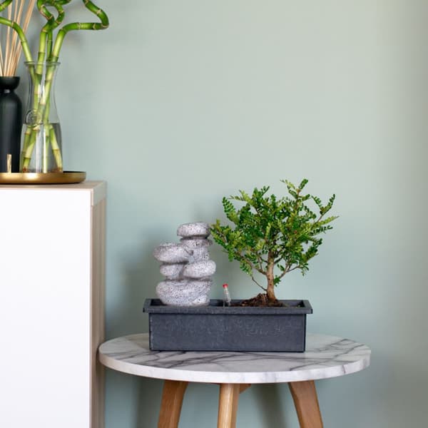 Bonsai træ med vandfald - Sæt med 2 - Bonsai - Højde 25-35cm - ⌀29cm