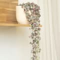 Miniatyrbild 4 av 6: Hjärtan på tråd - Set om 2 - Ceropegia linearis Woodii - Höjd 20-30cm - ⌀14cm