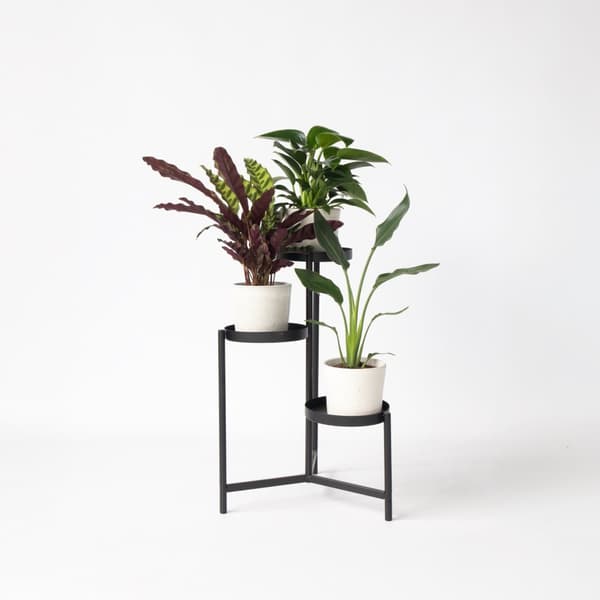 Grøn indendørs blanding - Sæt med 3 - Højde 25-40cm - ⌀12cm