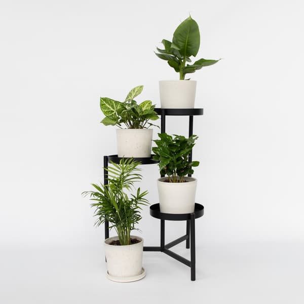 Växtblandning - Set om 4 - Krukväxter - Höjd 25-40cm - ⌀12cm