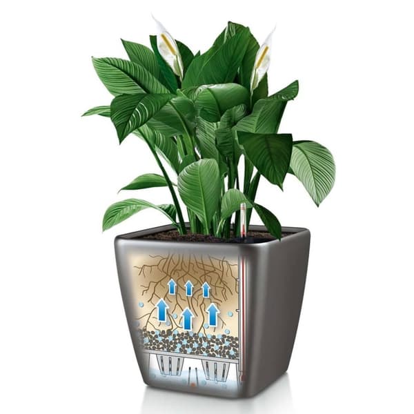 LECHUZA plantekrukke Quadro 43 LS ALL-IN-ONE trækul 16183