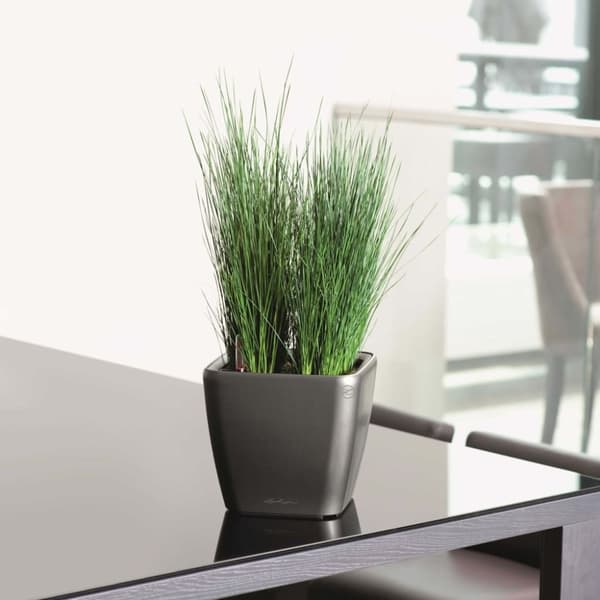 LECHUZA plantekrukke Quadro 43 LS ALL-IN-ONE trækul 16183