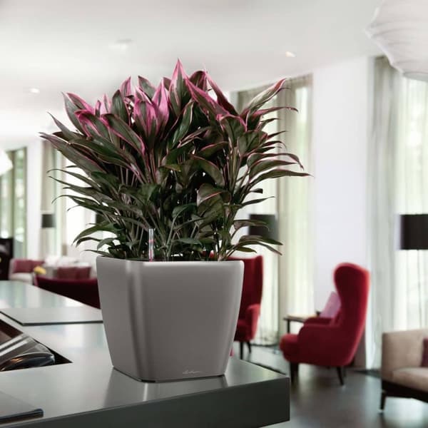 LECHUZA plantekrukke Quadro 43 LS ALL-IN-ONE trækul 16183
