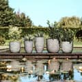 Miniatyrbilde 8 av 10: Capi Plantevase Nature Rib elegant lav 46x58 cm antrasitt KOFZ783