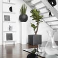 Miniatyrbillede 5 af 11: Capi plantekasse Urban Smooth 40x40x40 cm firkantet sort KBL903