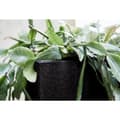 Miniatyrbillede 7 af 11: Capi plantekasse Urban Smooth 40x40x40 cm firkantet sort KBL903