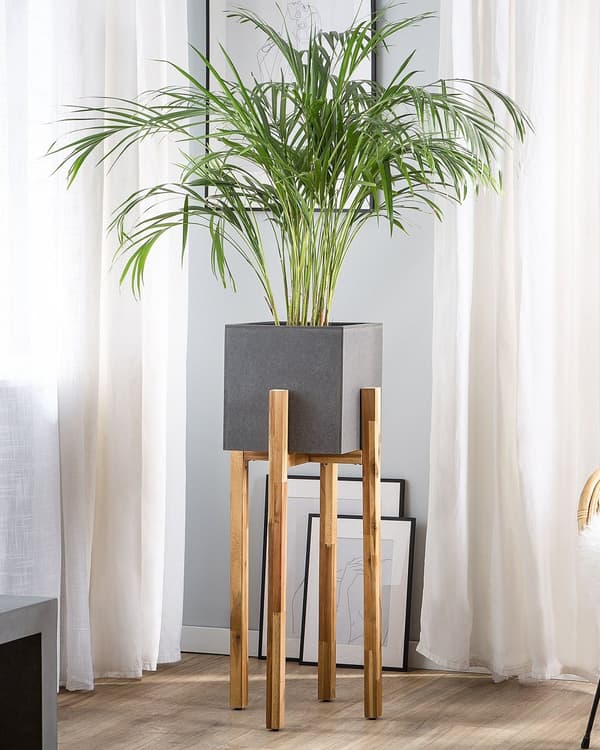 Blomställ Grå Betong Fyrkantig 30 x 30 cm Massivt trä Bas Modern Industriell Hög Blomkruka