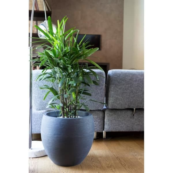 EDA Round Graphit pot Ø50cm - Kapacitet 46L - Antracitgrå