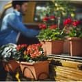 Pikkukuva 2 / 2: PLASTIKEN Rektangulär planter Ø 80 X 20 cm med bricka - Terracotta