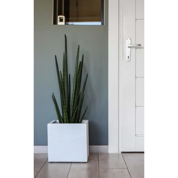 EDA PLASTIQUE Graphit Up fyrkantig blomma låda - 21 L - 29,5 x 29,5 x 29,5 cm - Vit cerusie