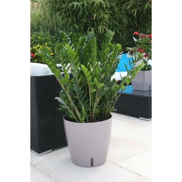 RIVIERA Eva Ny rund plastkruka - Ø 46 cm - 49 L - Taupe