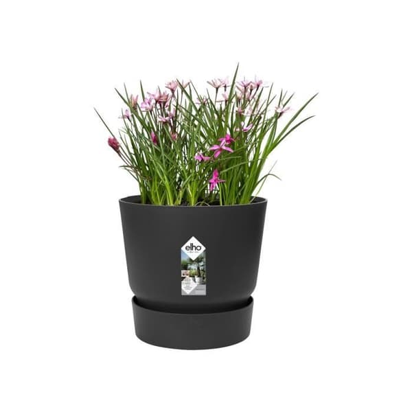 ELHO Greenville 47 rund blomkruka - Utomhus - Ø 47 x H 44,1 cm - Svart levande
