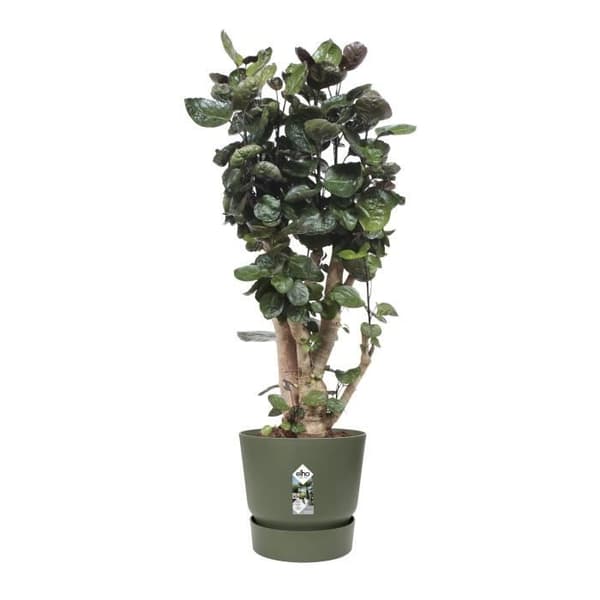 ELHO Greenville 47 rund blomkruka - Utanför - Ø 47 x H 44,1 cm - Lövgrön
