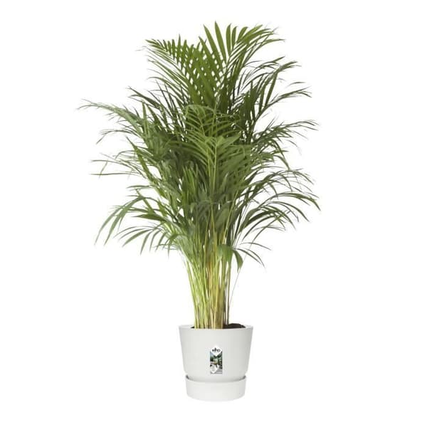 ELHO Greenville 47 rund blomkruka - Utomhus - Ø 47 x H 44,1 cm - Vit