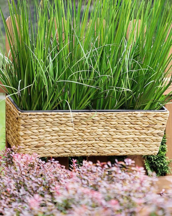 Blomlåda Beige Vattenhyacint Rektangulär 60 x 20 cm Vävd Med dräneringshål