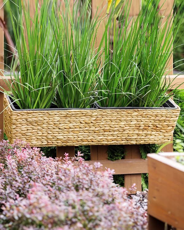Blomlåda Beige Vattenhyacint Rektangulär 80 x 20 cm Vävd Med dräneringshål
