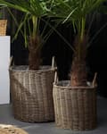 Miniatyrbillede 4 af 7: Sæt med 2 Plantekurve Brun Rund med Håndtag Syntetisk Indlæg Moderne Stil Stue Soveværelse Udestue Altan