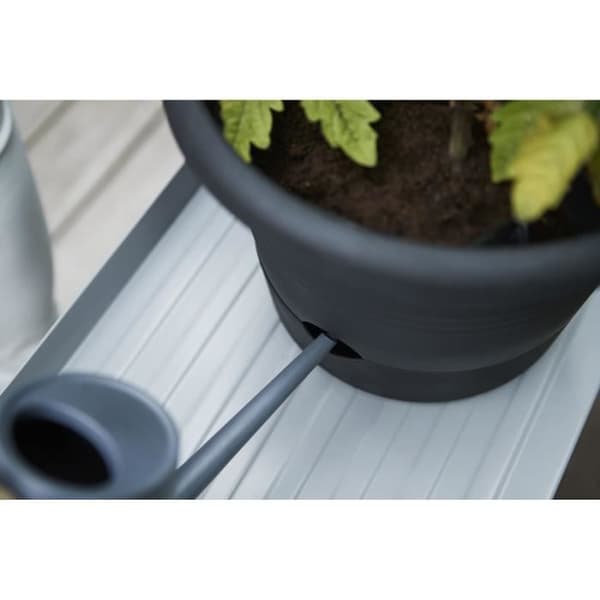 ELHO Green Basics tomatkruka - 33 cm - Ljus svart