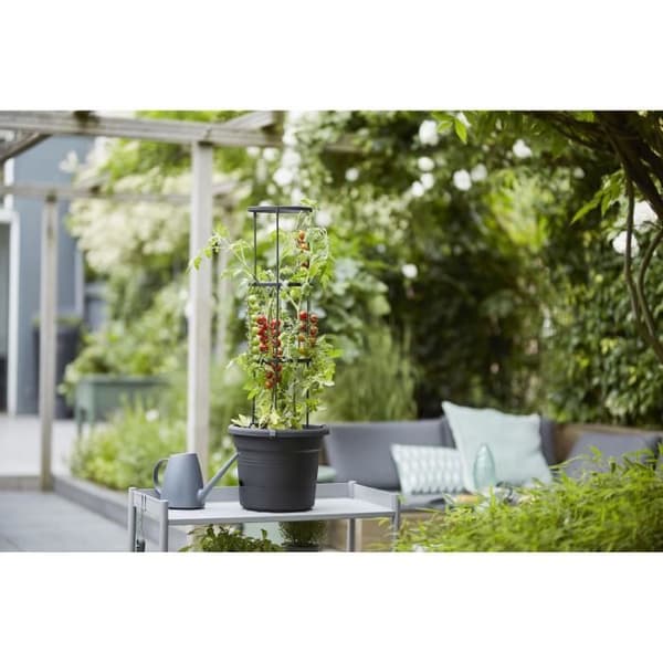 ELHO Green Basics tomatkruka - 33 cm - Ljus svart