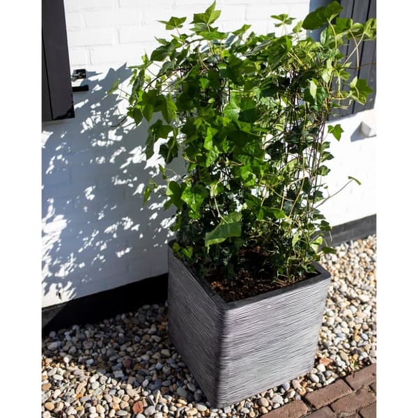 Capi Blomkruka Nature Rib fyrkantig 50x50 cm antracit