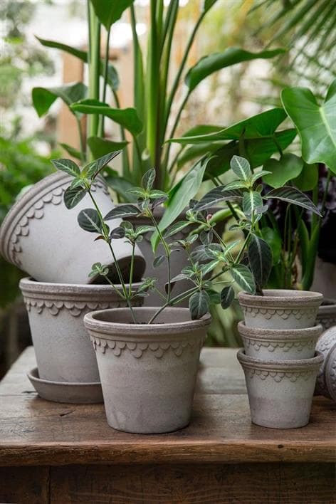 Pot Copenhagen Grey