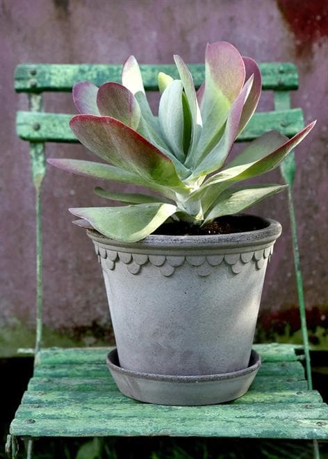 Pot Copenhagen Grey
