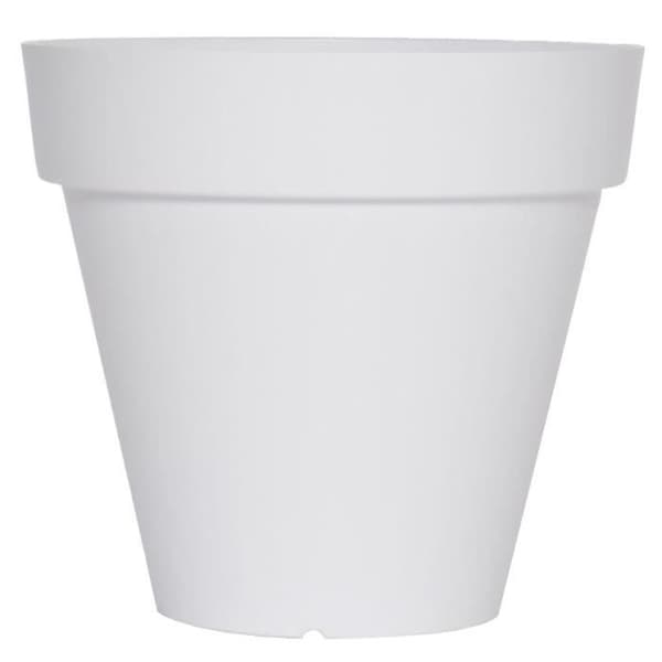 SOLEILLA ROND 50 VIT