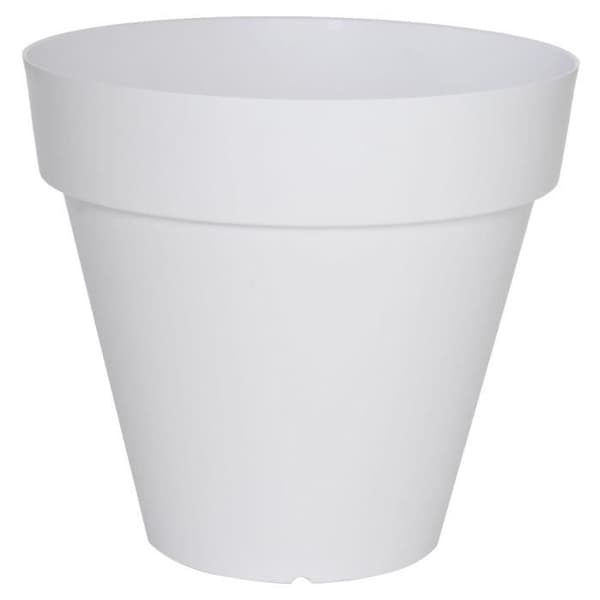 SOLEILLA ROND 50 VIT