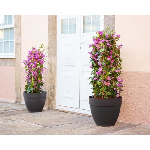 CAPRI CAMPANA POT 35CM ANTRAKIT