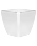 Miniatyrbillede 4 af 7: Plantepottepotteplanter Sølv fiberler Højglans udendørs 49 x 49 cm Alvejr