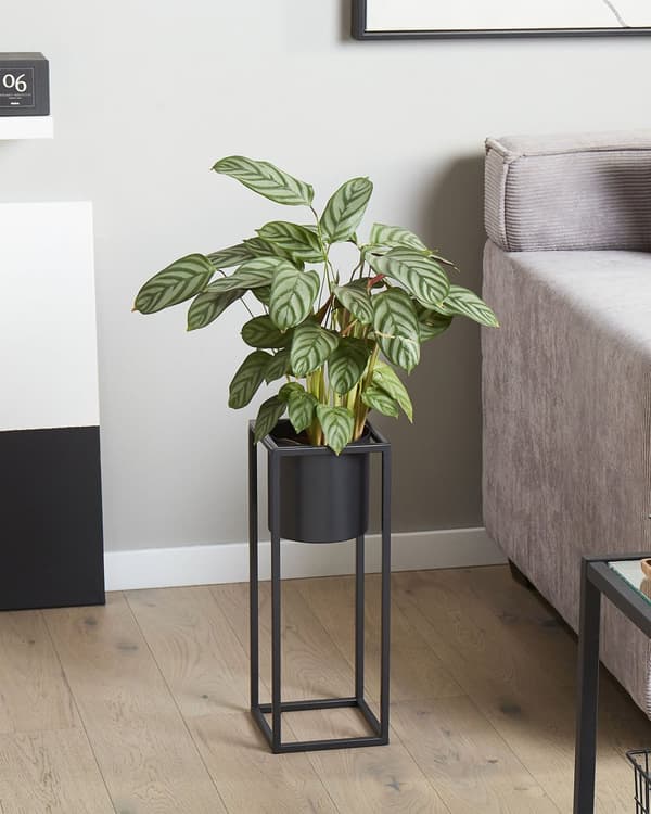 Plantestativ Sort Jern 15 x 15 x 40 cm Indendørs- og Udendørsbrug Urtepotte Rektangulær UV-Resistent Moderne Industriel Stående Plantekasse