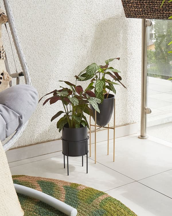 Plantestativ Sort og Gulv Pulverlakeret Jern 16 x 16 x 41 cm Inde- og Udendørs Kegleformet UV-resistent Moderne Industriel Stående Plantekasse