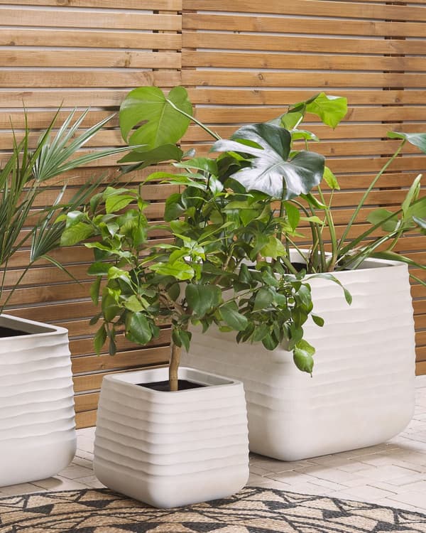 Plantepotte Hvid Polyresin 50 x 50 x 49 cm Firkantet med Detaljerede Riller til Både Udendørs- og Indendørsbrug UV-modstandsdygtig
