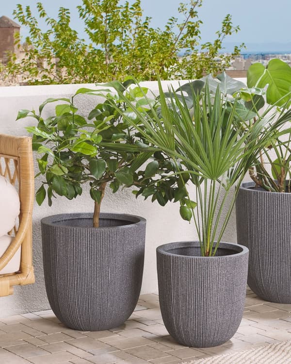 Blomkruka Grå Polyresin 38 x ø 37 cm Hög blomkruka Modern Minimalistisk Utomhus Inomhus Dekor Tillbehör