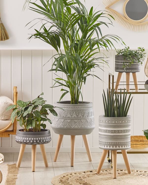 Växtställ Ljusgrå Magnesium Rund Massivträ Bas Boho Hög Kruka