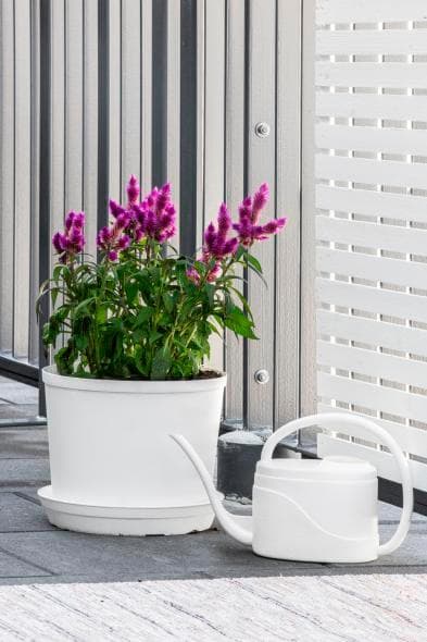 Fat Cultivate 16 cm Hammarplast